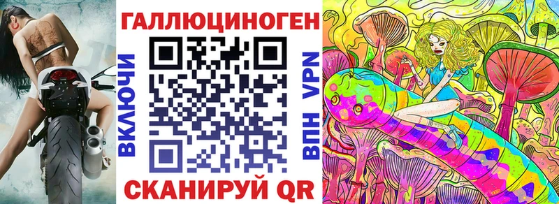 купить наркотики цена  Большой Камень  ссылка на мегу ONION  Галлюциногенные грибы GOLDEN TEACHER 